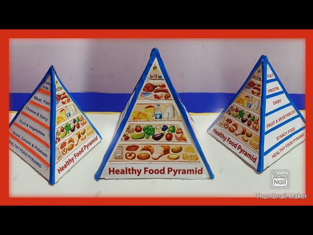 Healthy Food Pyramid Model Project Diy Food Pyramid 3d Model How To